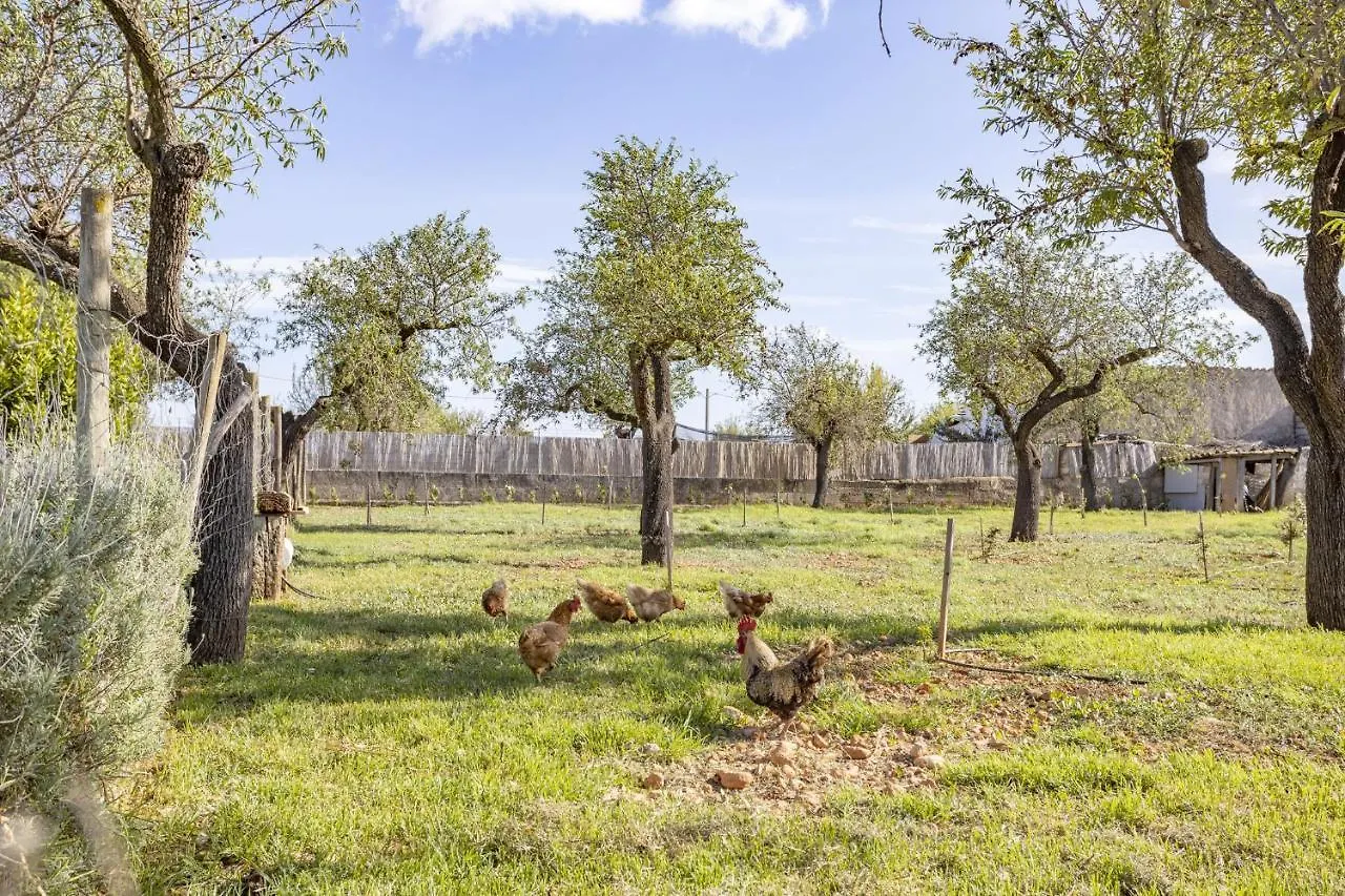 Finca Sa Tanqueta Rustica